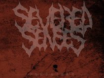Severed Senses