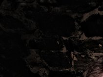Neuraxis