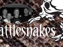Image for The Rattlesnakes