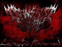TransfusidaraH (Official)