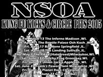 New Society of Anarchists (NSOA)