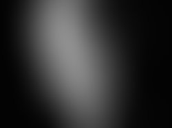 Artist 10444 1623688408