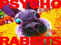 ThePsychoRabbits