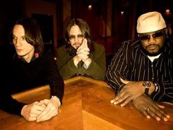 Image for North Mississippi Allstars