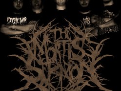 Image for The Mortis Sermon