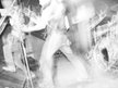 CROATONE