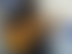 1323123168 pik de profil