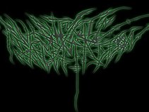 Butyric Fermentation