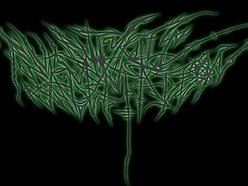 Butyric Fermentation