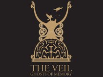 The Veil