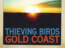 Thieving Birds