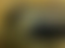 9f267b84ebee66e4437b61d7744d7f2aec672f3b