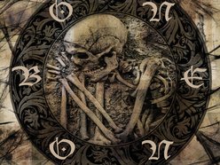 Image for BONE