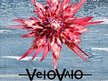 VeloValo