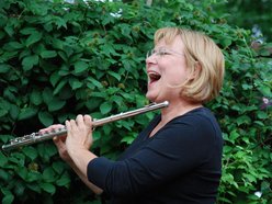 Image for Luanne M. Ashe