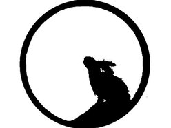 Image for sugar moon rabbit