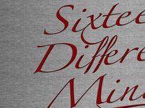 Sixteen Different Minds