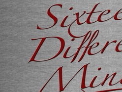 Image for Sixteen Different Minds