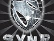 SYNR