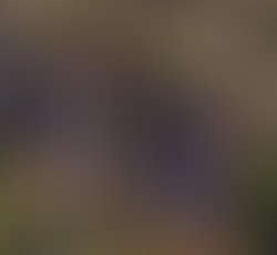 48412522 1289156441226578 33020765133602816 n