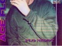 Flo Niddy