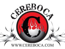 Cereboca