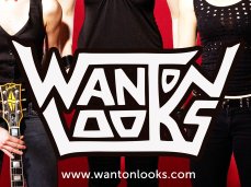 Image for The Wanton Looks