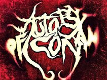 Autopsy Of An Icon