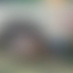 1381527240 cerny bros cover