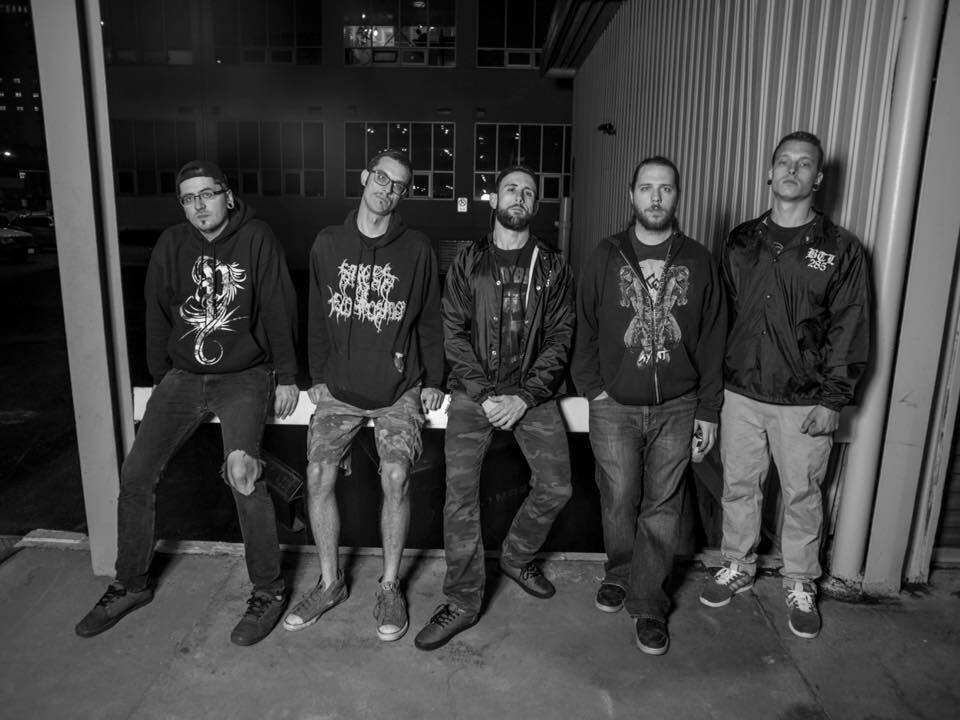 Domestic Terror | ReverbNation