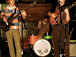 Image for The American Gonzos