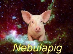 Nebulapig