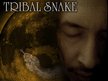 TRIBAL SNAKE