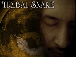 TRIBAL SNAKE