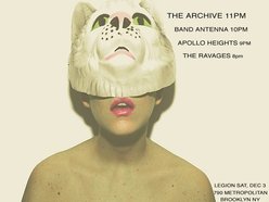 Image for The Archive