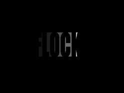 ReverbNation profile picture for @flock