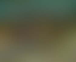 1399496602 let it begin banner cropped