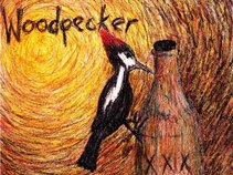 Woodpecker