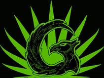 GatorNate The Gladezmen