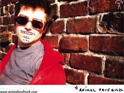 Image for Animal Prufrock
