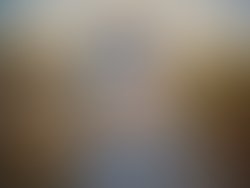 Dbm 11 11 10   1  1289507435