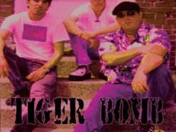 Image for Tiger Bomb