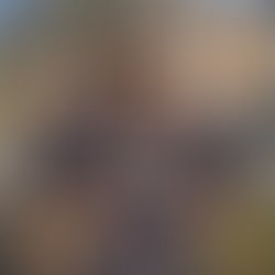 Artist 1097990 1682905361