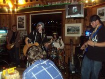 Salt Marsh Caterpillar