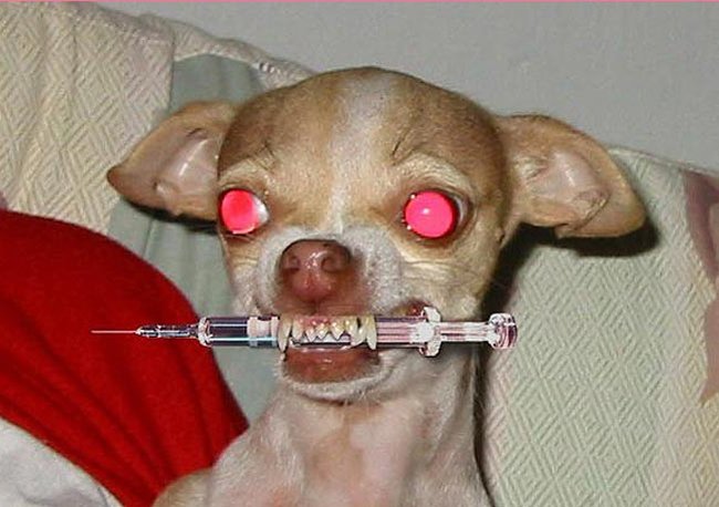 ReverbNation profile picture for @heroin