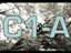 Company 1-A (C1-A) (Artist)