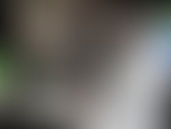 7ff8ed9e c954 4366 9720 42188534f335 363 0000002fb9991982