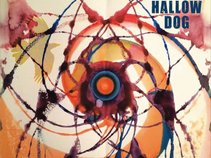 Hallow Dog