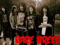 Rare Breed