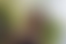 Img 1337 photojonathasmartins